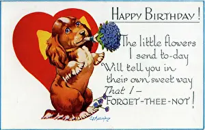Forget: George Studdy, Happy Birthday postcard