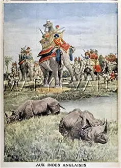 Panache: GEORGE V VERSUS RHINO