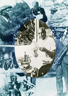 Carver: George W. Carver, American Scientist
