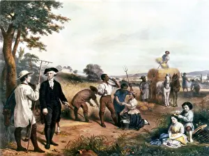 Contentious: George Washington as a farmer, standing ?