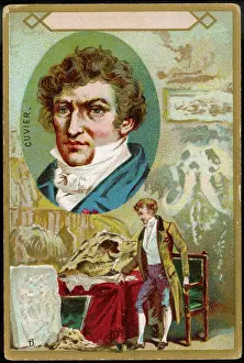 Cuvier: GEORGES, BARON CUVIER