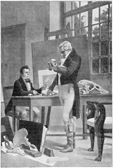 Tardieu: Georges Cuvier, French scientist