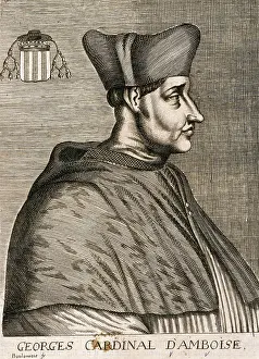 D Amboise: Georges D'Amboise