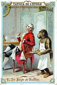Comte: Georges-Louis Leclerc, Comte de Buffon (1707-88)