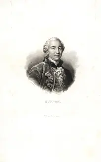 Georges Louis: Georges-Louis Leclerc, Comte de Buffon