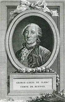 Comte: Georges-Louis Leclerc, Comte de Buffon