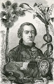 Comte: Georges-Louis Leclerc, Comte de Buffon