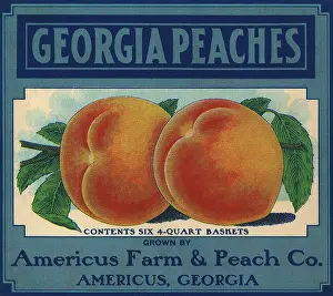 Peachs: Georgia Peaches
