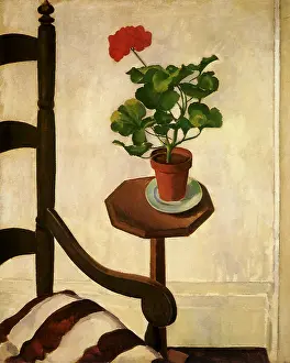 Geranium: Geranium