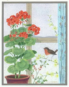 Anyone: Geranium and robin on jessamine