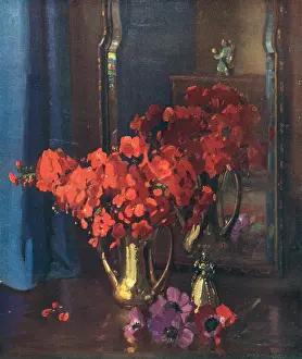 Smaller: Geraniums