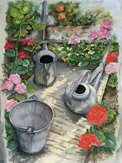 Geraniums: Geraniums and Watering Cans