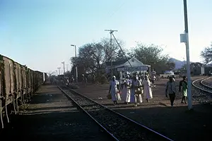 Peter F. Ashford Collection: Gerberones Botswana Southern Africa