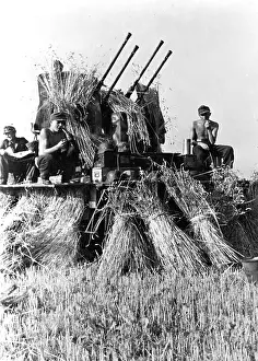 Harvested: German 2cm Flak 38 in Latvia, 1944