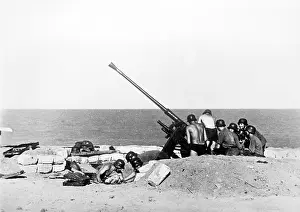 Azov: German 3.7cm Flak 36 on the Eastern Front, 1942