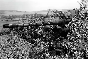 Hagen: German 8.8cm Flak 36 - Eastern Front, 1942