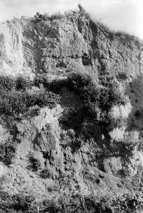 Monitoring: German advance detachment in Ukraine, 1941