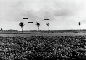 Becke: German Air Force during the Battle of Britain, 1940