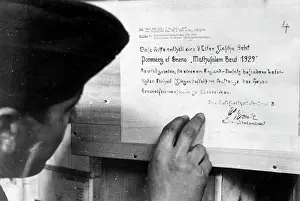 Pommery: German Air Force during the Battle of Britain