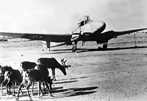 Wulf: German airplane in Finland, 1941