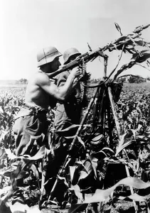 Antiaircraft: German antiaircraft gun on the Eastern Front, 1941
