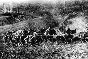 Transylvania: German artillery, 1917