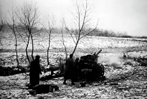 Fires: German artillery on the Donets, 1941