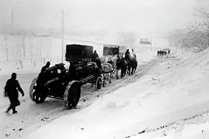 Schurer: German artillery on the Eastern Front, 1942