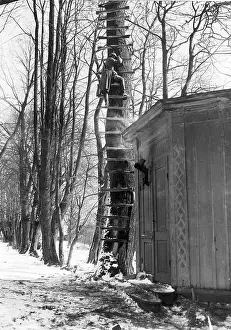 Planks: German artillery observers on the eastern front
