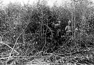 Bushes: German artillery on the Western Front, 1914