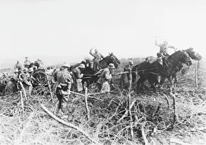 Quentin: German artillery WWI