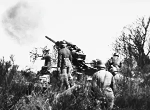 Kanone: German artillery WWII