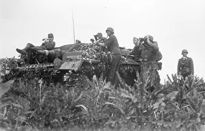 Stug: German assault gun on the Eastern Front, 1942