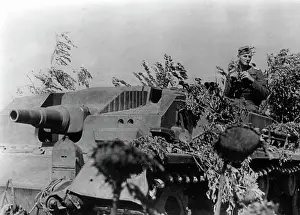 Borisov: German assault gun III, 1941