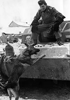 Mascot: German assault gun III - Eastern Front, 1942