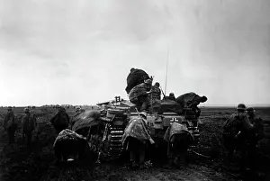 Halves: German assault gun at the southern sector of the Eastern