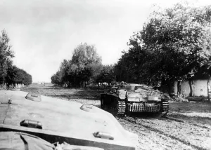 Sturmgeschuetz: German assault guns on the Eastern Front, 1941