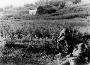 Thicket: German assault party on the Eastern Front, 1941