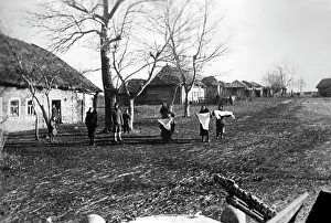Meyer: German attack on Moscow, 1941