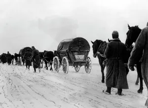 Cusian: German attack on Moscow, November 1941