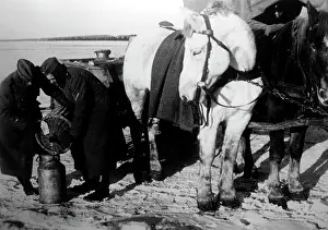Fill: German attack on Moscow, November 1941