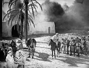 Palms: German auxiliary forces in the desert