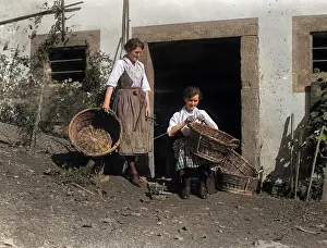 Basketmaking: GERMAN BASKET MAKERS