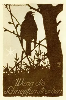 Snipe: A German bird book cover