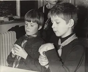Concentrating: German boy scouts playing cards