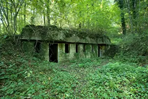 Binarville: German Bunker - Binarville - Argonne