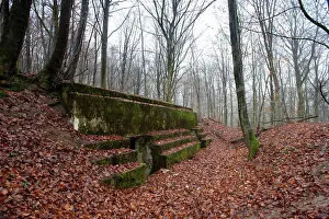 German bunker - Bois de Gesnes - Argonne