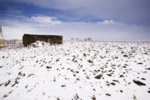 34th: German Bunker on the Broenbeek