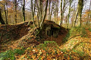 Steeply: German bunker known as Abri de Kronprinz