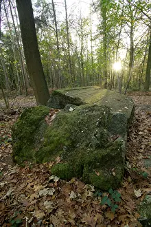 Menin: German Bunker in Polygon Wood